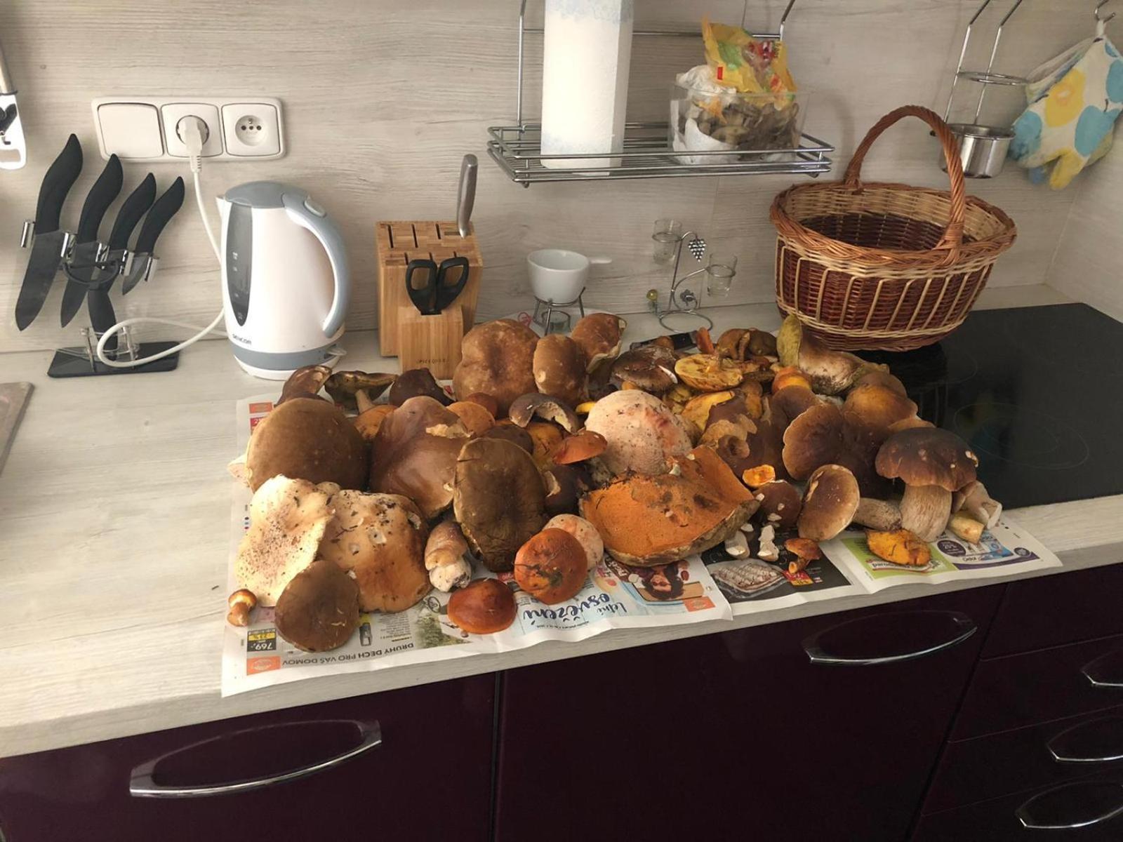 Apartman Boruvka Česká Kamenice 외부 사진